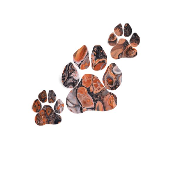 Paw Print Thumbnail